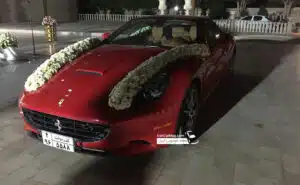 فراری کالیفرنیا در ایران عروس رفسنجان