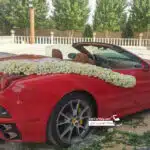 فراری کالیفرنیا در ایران عروس رفسنجان