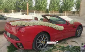 فراری کالیفرنیا در ایران عروس رفسنجان