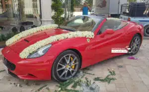 عروس رفسنجانی ها و فراری کالیفرنیا ،  2 نفره جذاب ایتالیایی + عکس