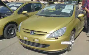 خودروهاى خاصى که در مزایده بفروش رفتند + تصاویر اختصاصی